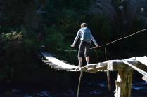 920017_10101968243211674_1536949274_o